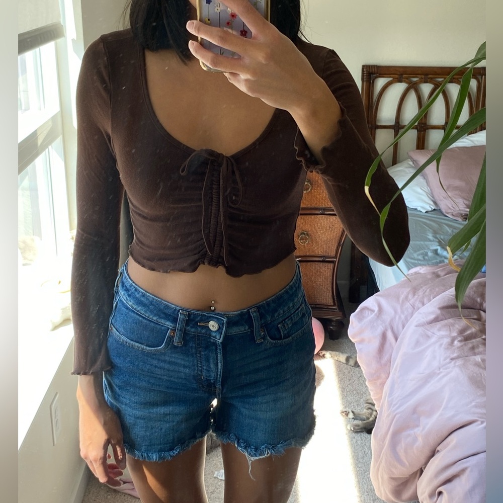 Brown Long Sleeve Crop Top